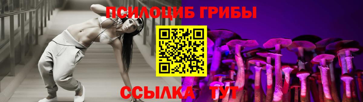 Елец  Галлюциногенные грибы мицелий  закладка  Вход с VPN 